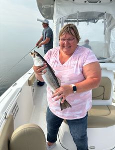 One spotted weakfish measuring 52 inches caught in Manteo