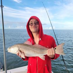 Redfish caught in Manteo, fishing