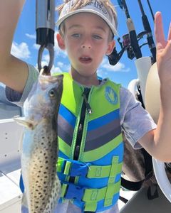 Spotted weakfish, 13 inches, caught in NC