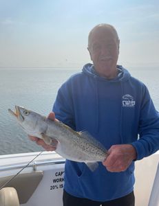 Spotted Weakfish caught in Manteo