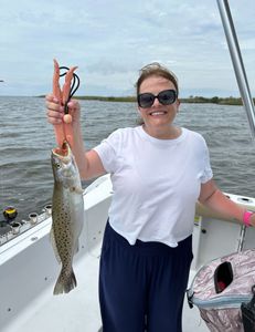 A spotted weakfish, a 17-inch fish, caught in Manteo
