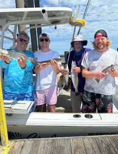 4 spotted weakfish caught while fishing in Manteo