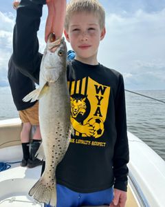 Spotted Weakfish, 27-inch freshwater fish caught by a person in Manteo