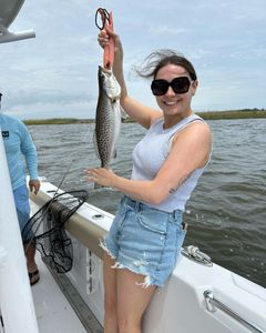 A spotted weakfish, a 12-inch fish, caught while fishing in NC