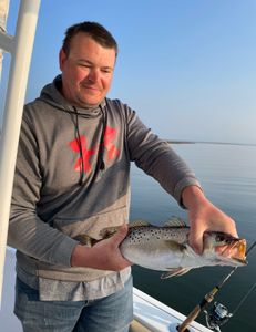 Spotted weakfish, 12 inches, fishing in NC