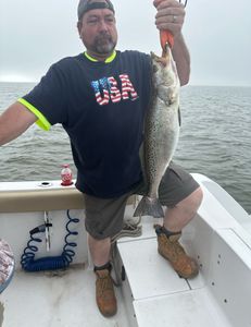 Spotted Weakfish caught while fishing in NC