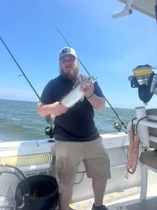 Spotted Weakfish measuring 10 inches caught while fishing in NC