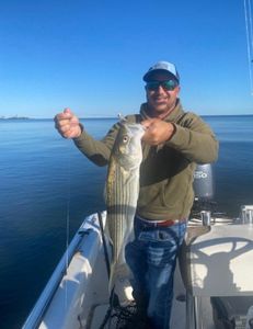 A Striped Bass fish caught in Manteo while fishing