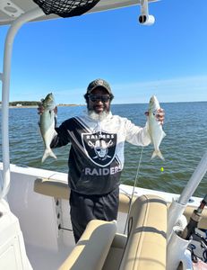 Two bluefish caught in NC
