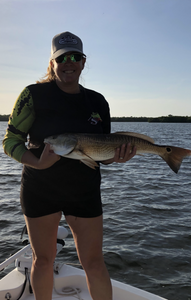 Redfish caught in Bokeelia while fishing