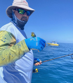 Angler fishing in Florida