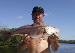 Redfish, 25-inch catch in FL