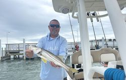 Snook, 20 inch fish caught while fishing in FL