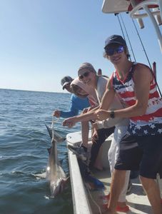 Inshore Escapades: Reel Fun