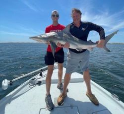 Adrenaline-Pumping Shark Angling