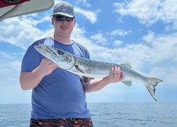 A single great barracuda fish, 27 inches long, caught while fishing in Pensacola