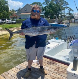 King Mackerel, 28-inch fish caught while fishing in FL
