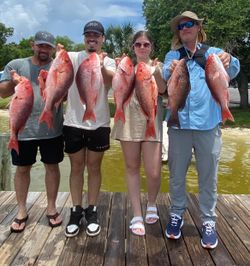 7 fish caught while fishing in FL