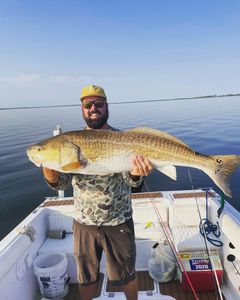 OBX bull drum