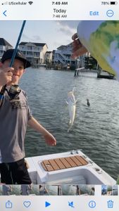 One angler fishing in Wanchese