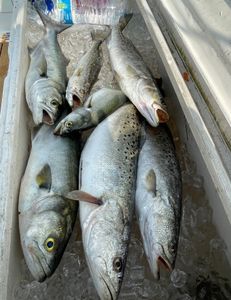 Six fishing and hunting adventure in NC