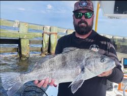 A black drum fish caught in Wanchese