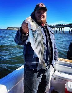 Caught this best striper in the area!