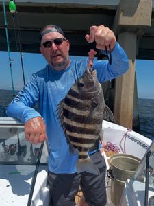 A fisherman holding a 18-inch sheepshead fish caught in Wanchese