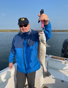 A large spotted weakfish caught while fishing in Wanchese