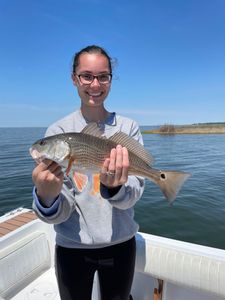 Redfish caught while fishing in Wanchese