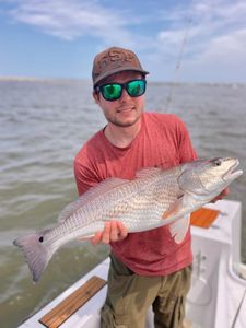 Redfish caught in Wanchese, 21 inches