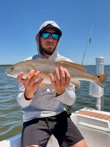 A single redfish caught while fishing in Wanchese