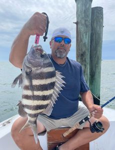 Sheepshead fish caught in North Carolina