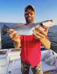 Spotted Weakfish caught during fishing in NC