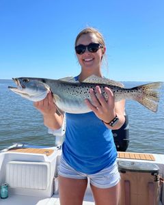 Spotted weakfish, 25 inches, fishing in NC