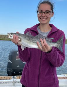 Spotted weakfish, 19 inches, caught in Wanchese