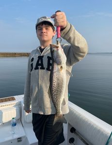Spotted weakfish caught in Wanchese, North Carolina