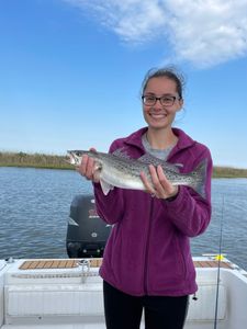 Spotted Weakfish caught by fisherman in Wanchese