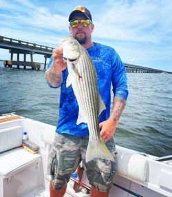 Striped Bass caught in NC