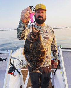 Summer flounder fish caught in NC