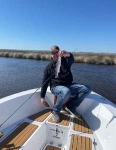 Fisherman in Wanchese with a successful hunting and fishing trip