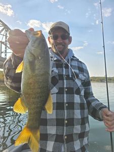 Another smallmouth by Tom on a football jig