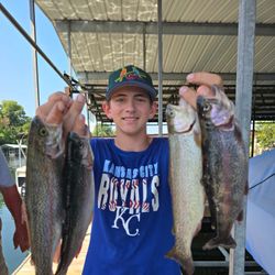 4 rainbow trout caught in Branson, Missouri