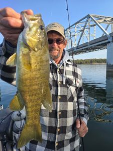 Nice smallmouth caught by Tom first time fishing a jig