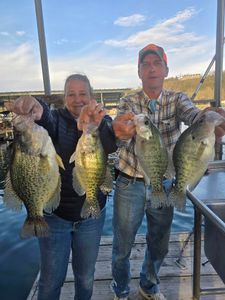 4 crappie and white crappie fish caught in Branson