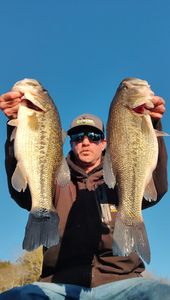 Two largemouth bass caught on a fishing trip in Branson