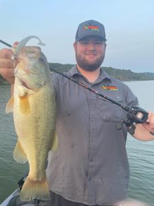 Largemouth Bass caught while fishing in MO