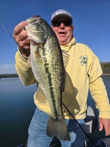 Largemouth bass caught in MO