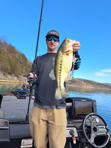 Largemouth bass caught while fishing in Missouri