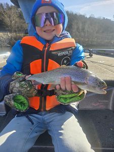 Rainbow Trout caught during fishing in Branson